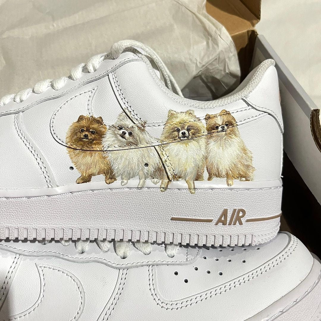 Nike Air Force 1 x Pet