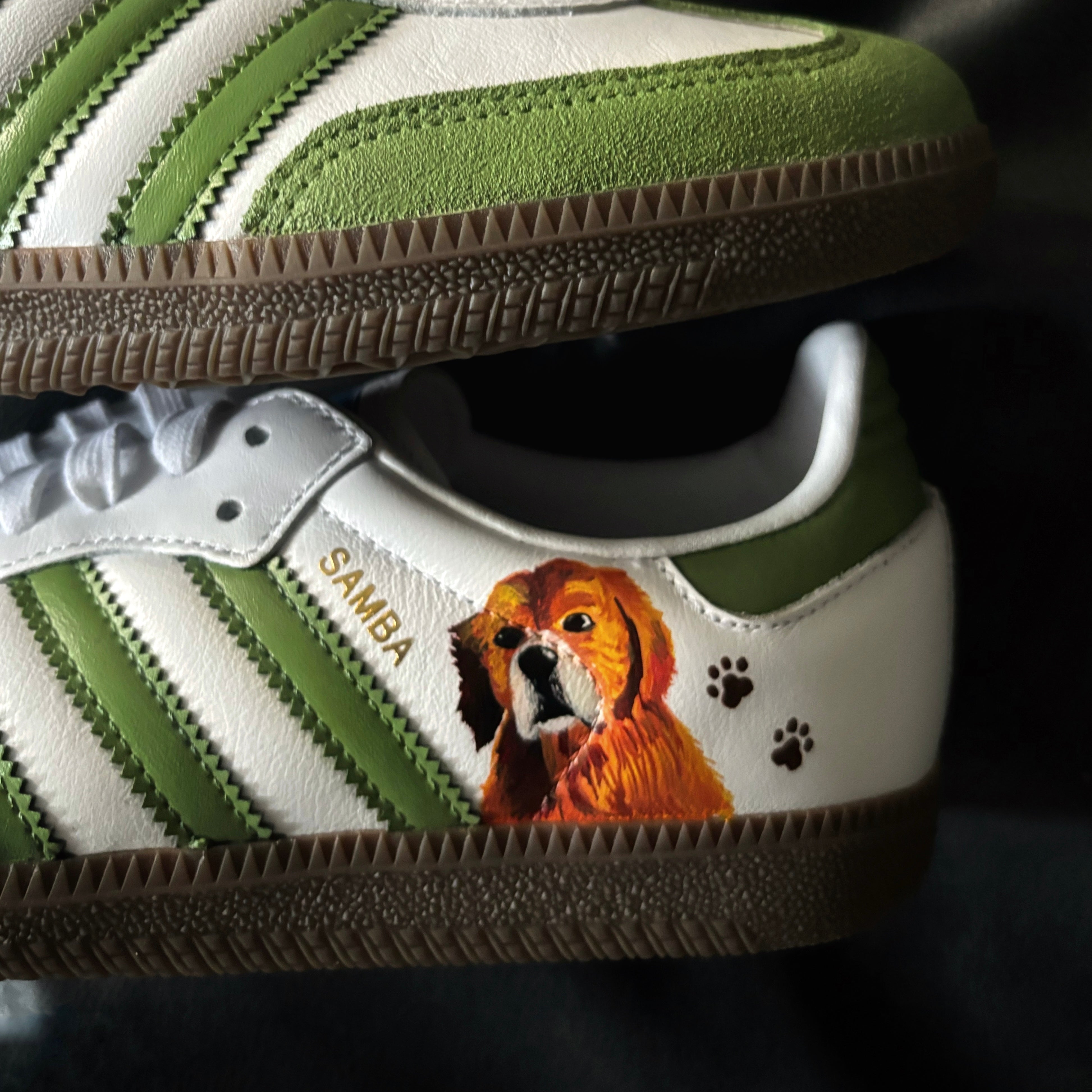 Adidas Sambas x Pet Dog