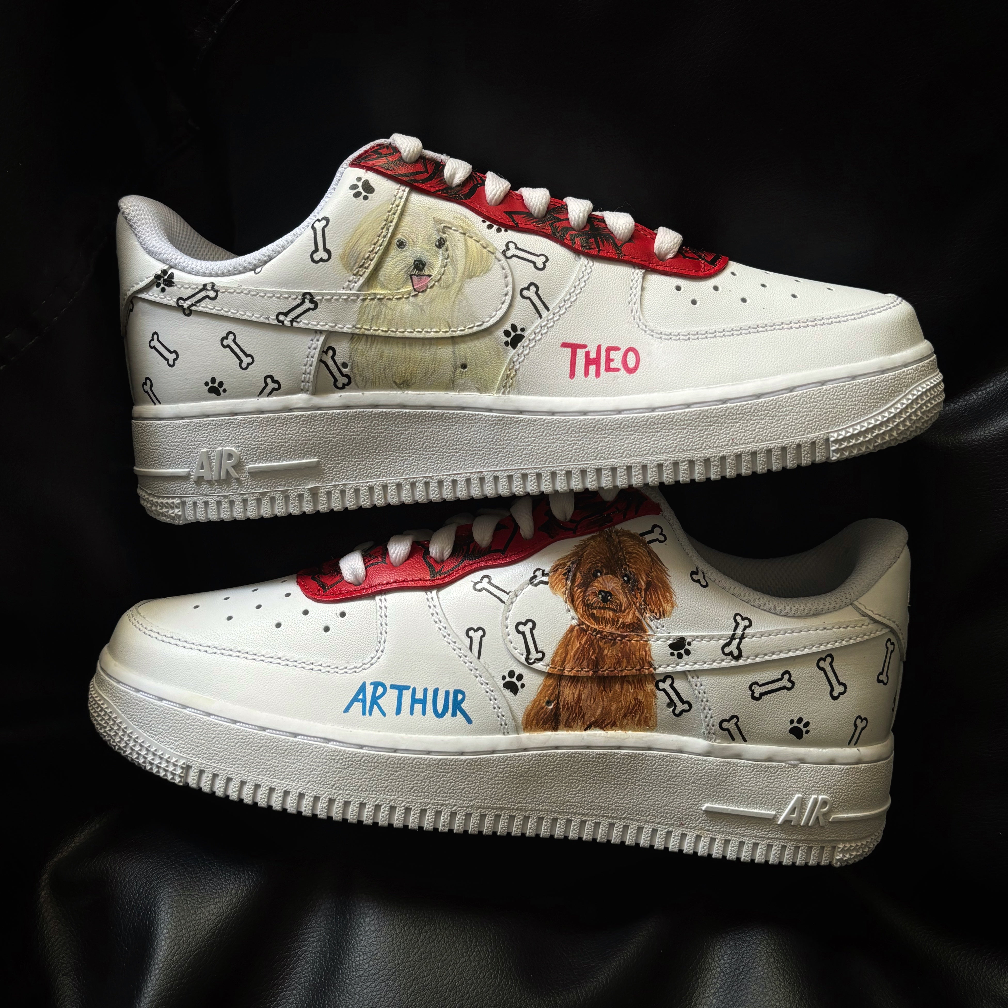 Nike Air Force 1 x Doggo Knickgasm